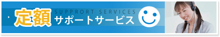 定額サポート